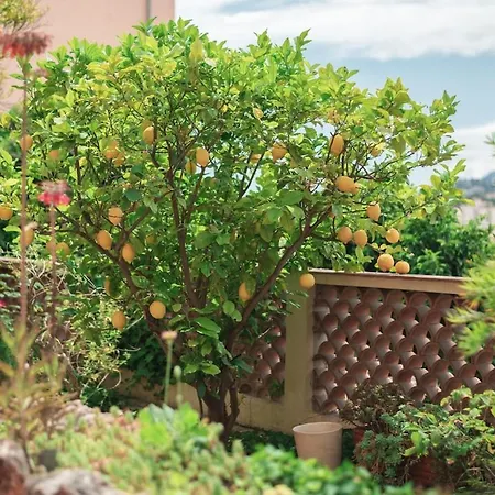 Apartment Val De Menton, 3 Pieces Atypique, Jardin Et Terrasse A 7 Minutes A Pied Du Centre Menton